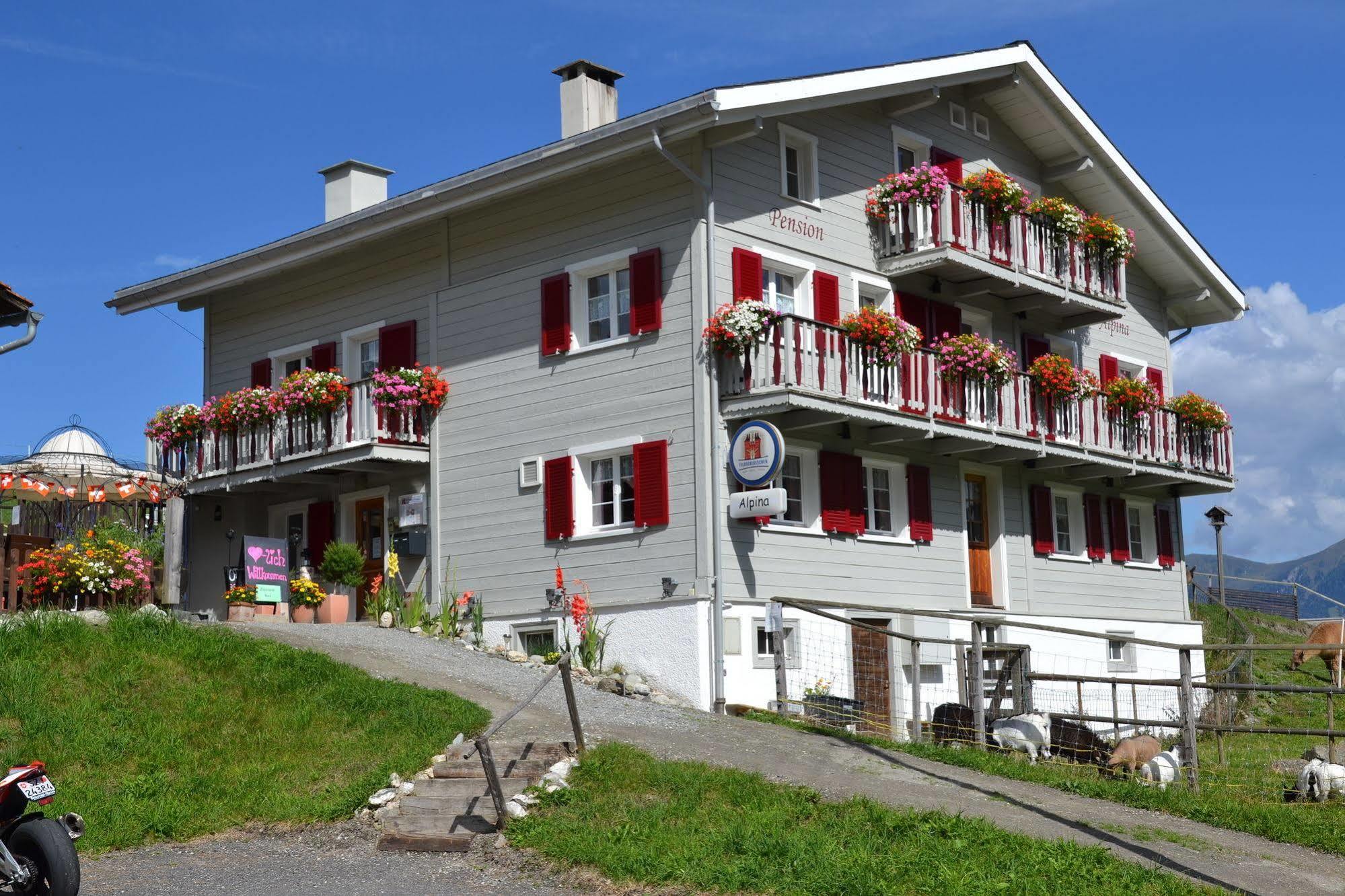 Gasthaus Alpina Tschappina Εξωτερικό φωτογραφία