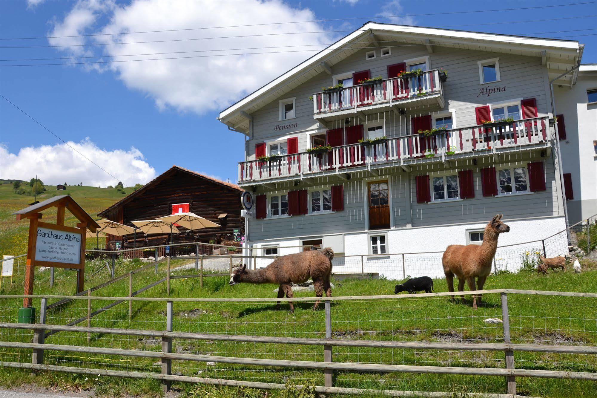 Gasthaus Alpina Tschappina Εξωτερικό φωτογραφία